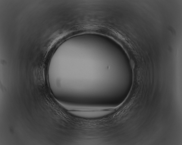 X0000090701214200708031406