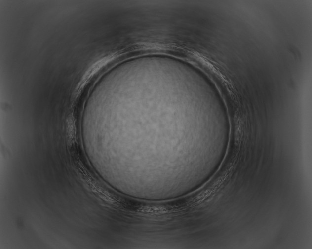 X0000090701215200708031406