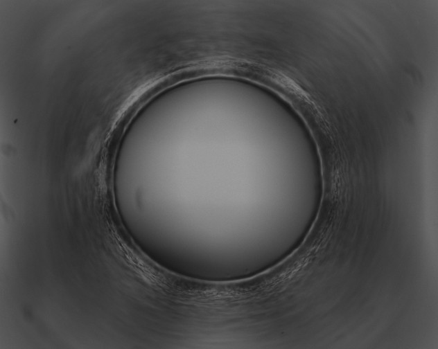 X0000090701216200708031406