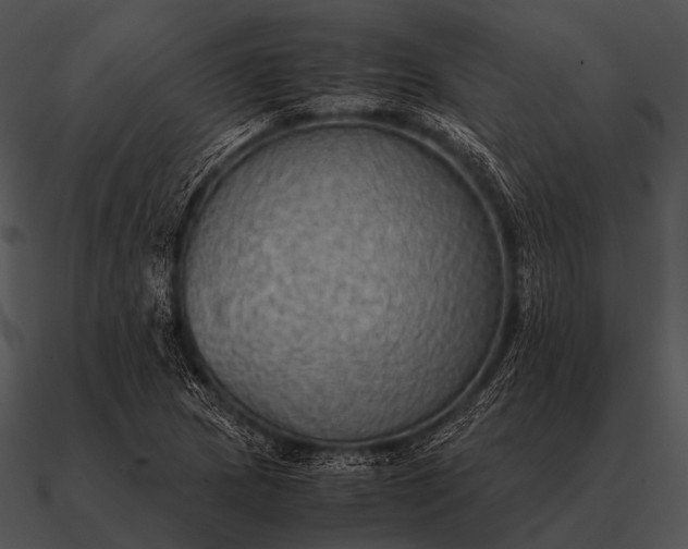 X0000090701217200708031406