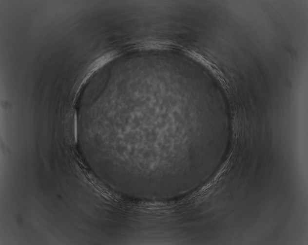 X0000090701219200708031406