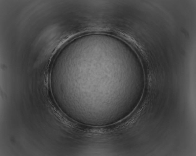 X0000090701220200708031406