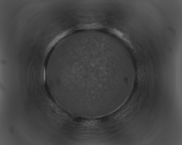 X0000090701221200708031406