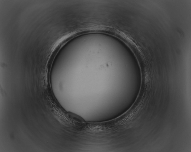 X0000090701222200708031406