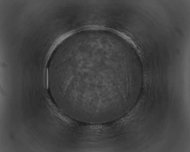 X0000090701223200708031406