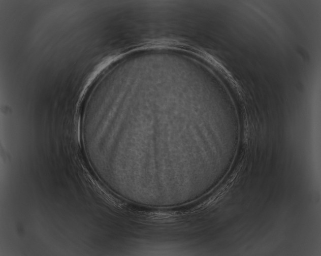 X0000090701224200708031406