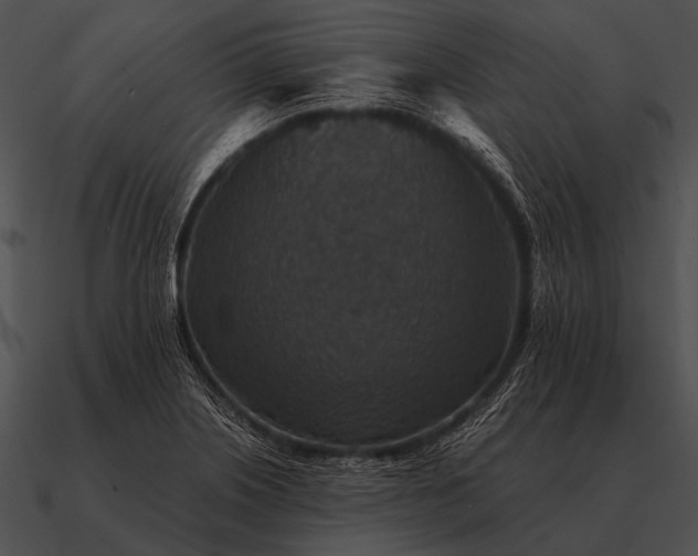 X0000090701226200708031406