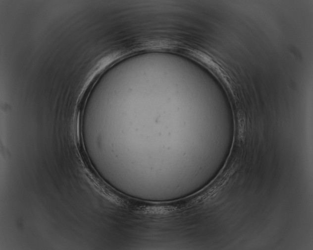 X0000090701227200708031406