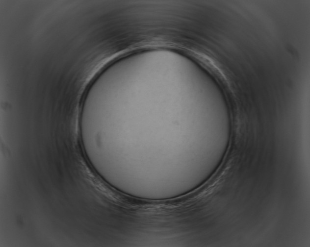 X0000090701228200708031406