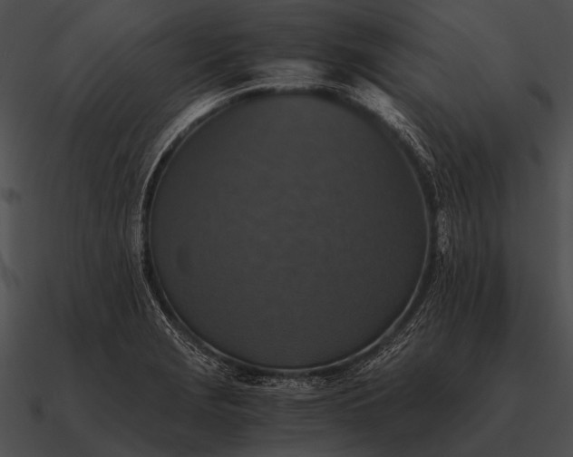 X0000090701229200708031406