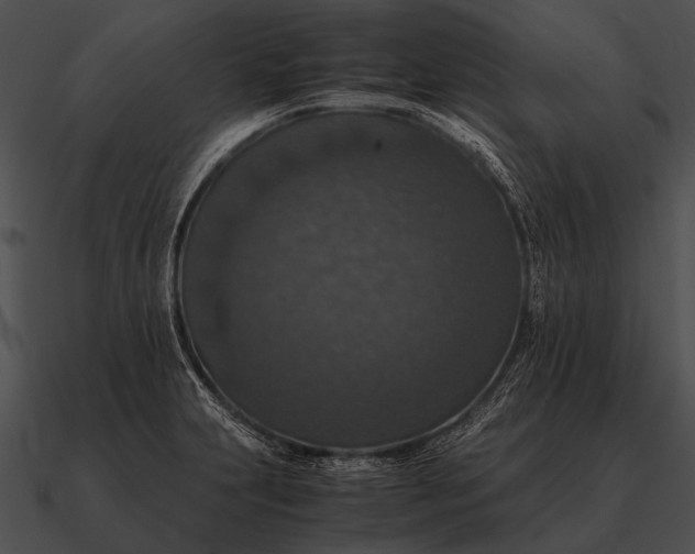 X0000090701231200708031406