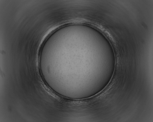 X0000090701232200708031406