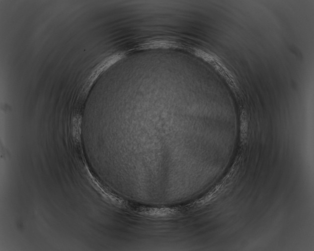 X0000090701233200708031406