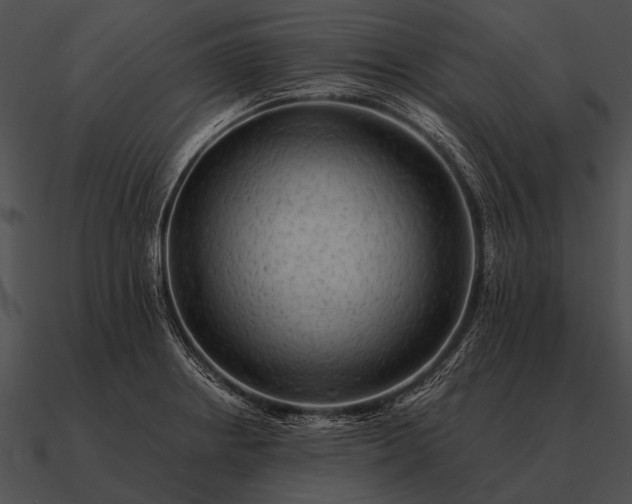 X0000090701234200708031406