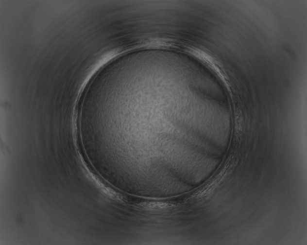 X0000090701235200708031406