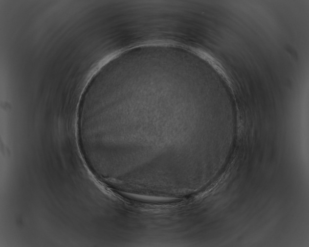 X0000090701237200708031406