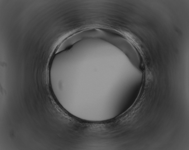 X0000090701238200708031406