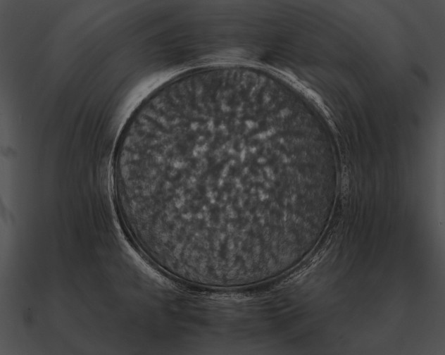 X0000090701239200708031406