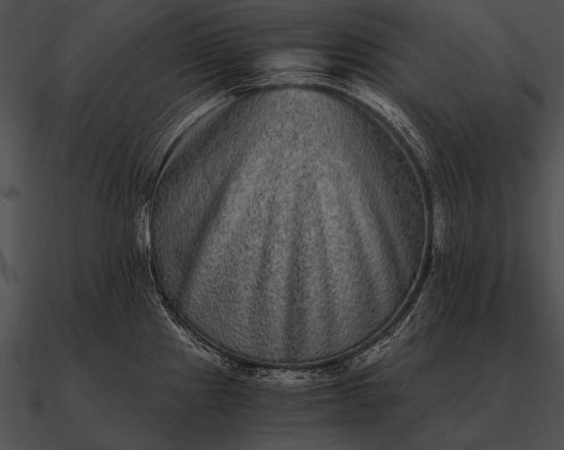 X0000090701241200708031406