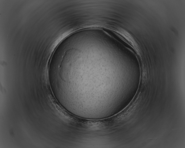 X0000090701242200708031406