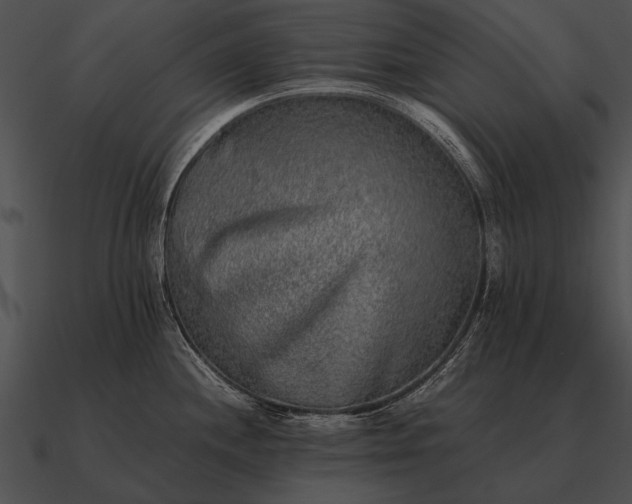 X0000090701244200708031406