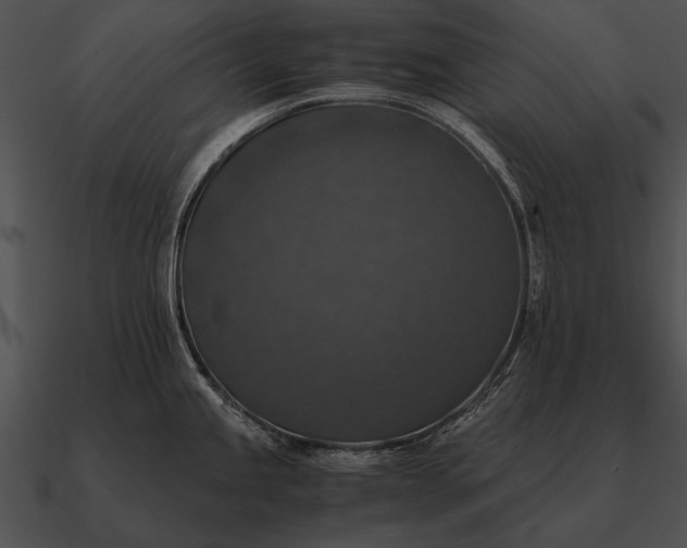 X0000090701245200708031407