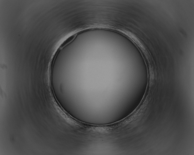 X0000090701246200708031407