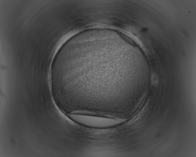 X0000090701247200708031407