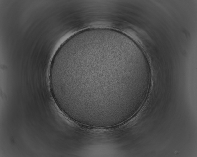 X0000090701248200708031407