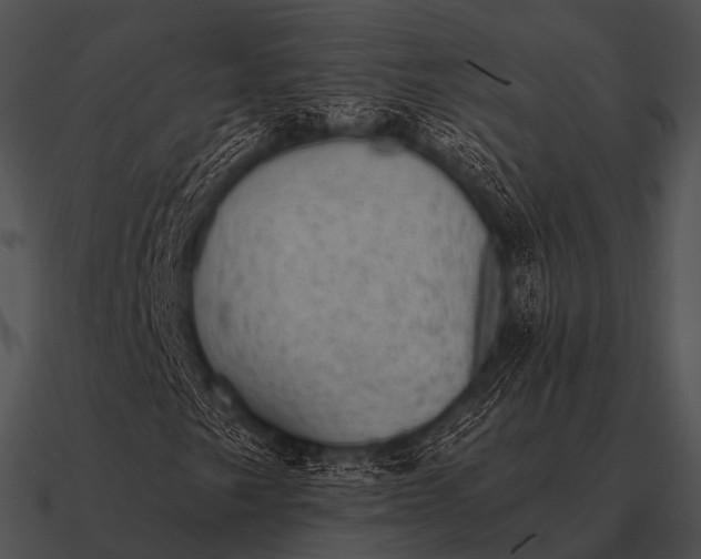 X0000090701249200708031406