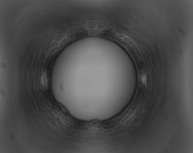 X0000090701252200708031406