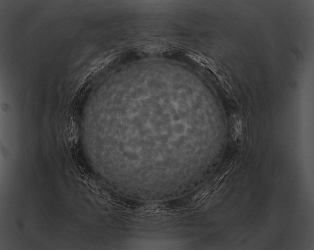 X0000090701253200708031406