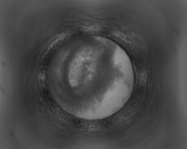 X0000090701254200708031406