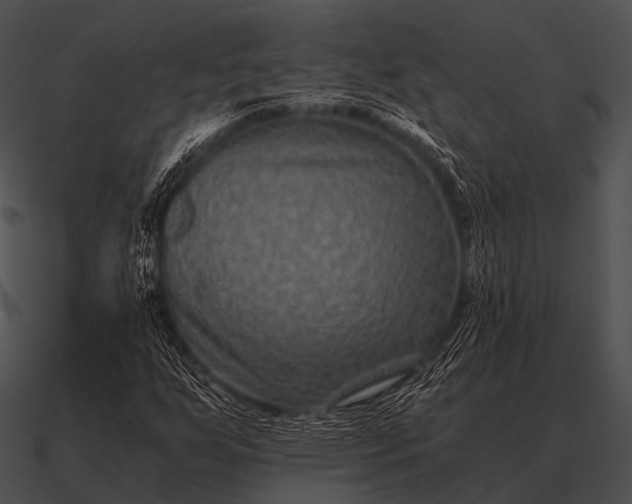 X0000090701255200708031406