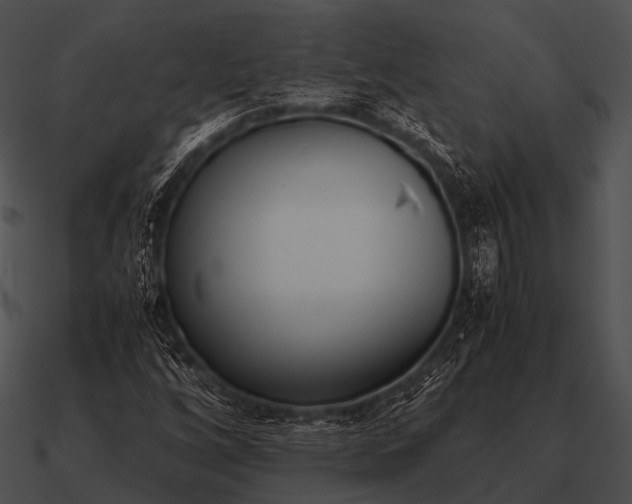 X0000090701256200708031406