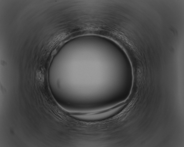 X0000090701257200708031406