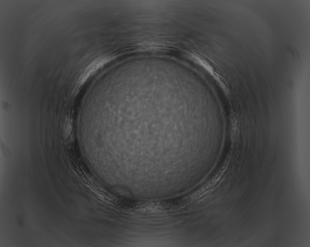 X0000090701259200708031406