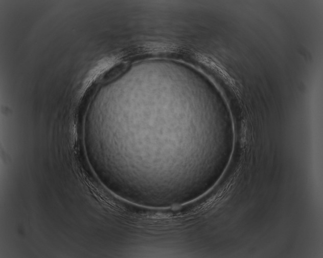 X0000090701261200708031406