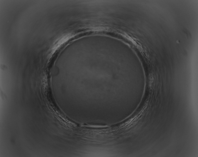 X0000090701263200708031406