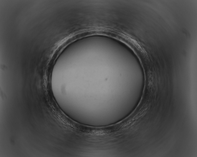 X0000090701264200708031406