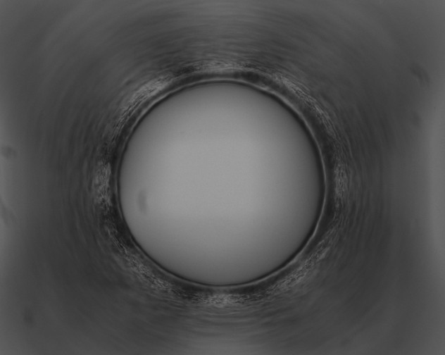 X0000090701265200708031406