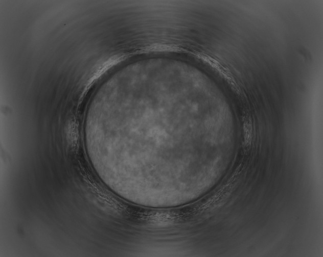 X0000090701266200708031406