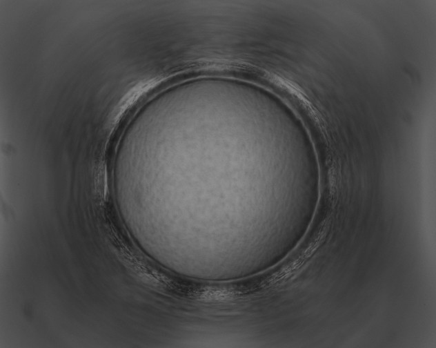 X0000090701267200708031406