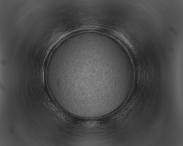 X0000090701268200708031406