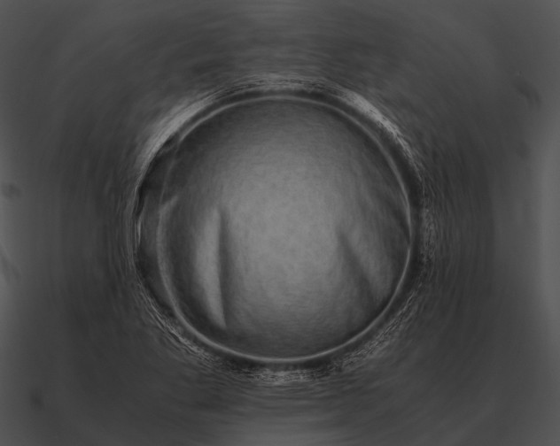 X0000090701269200708031406