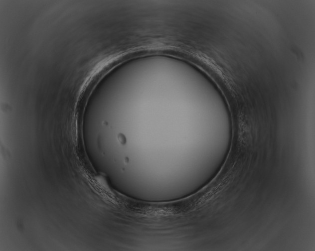 X0000090701270200708031406