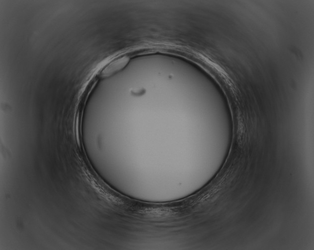 X0000090701272200708031406