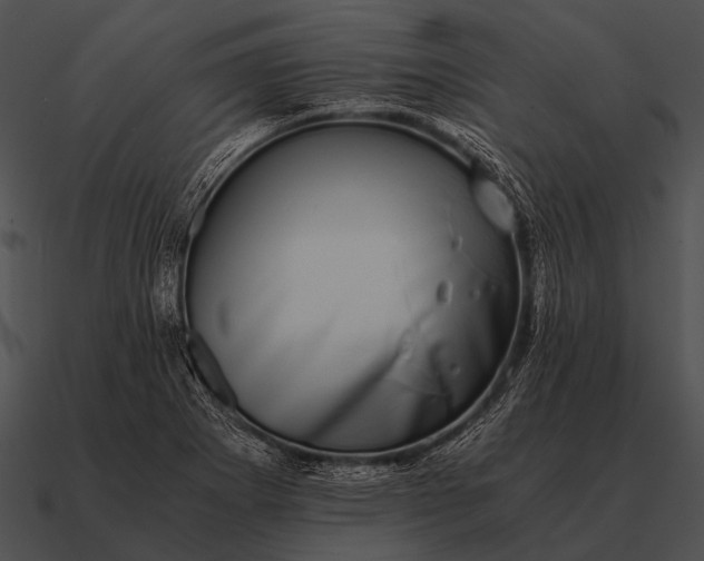 X0000090701273200708031406