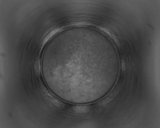 X0000090701274200708031406