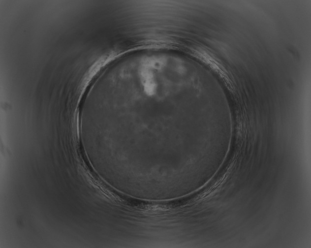 X0000090701275200708031406